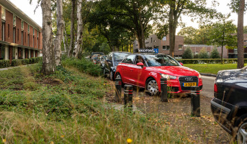 Rijles Emmer-Compascuum